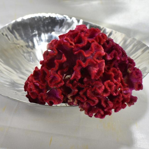 Cuencos de diseño moderno de Metal - Product Image 1