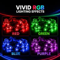Cadena de Luces LED Digitales RGB SK6812 de 5V, Resistentes al Agua, para Decoración de Paisajes y Proyectos Festivos, Venta al Por Mayor