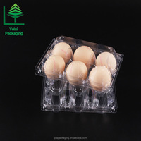 Plateau d'emballage pour œufs pliable OEM grand format à 6 compartiments, écologique, pour œufs de poule, en PET transparent, sûr pour les aliments, conteneur jetable