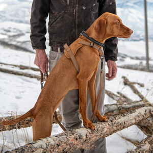 Harnais pour chien Carhartt en nylon solide, anti-traction, entièrement réglable, poignée de contrôle rapide, accents réfléchissants, marron, taille L - Product Image 3