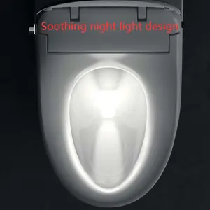 Toilet Seat Bidet Smart Toilet Lid With Remote Control Bidet Seat