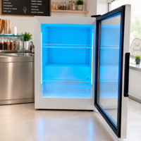 Mini congélateur de comptoir à basse température, conçu pour le stockage de la crème glacée, température de fonctionnement : -18°C ℃
