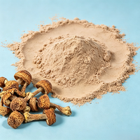 Extrait de corps fruiteur de champignon Agaricus Blazei à haute teneur en bêta-glucane, en poudre, extrait par solvant, marque privée, qualité alimentaire