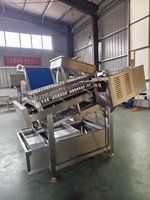 Machine ORME pour éviscérer, nettoyer et décortiquer les crevettes