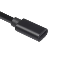 Câble de rallonge de gaine en PVC de type C mâle à femelle en cuivre pur de 1 pied Chargement rapide 5A pour utilisation sur disque dur