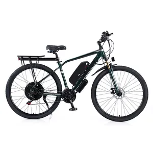 Popular model 1000w double sets ebike 21 inch fat tire folding electric bike Mountain/Snow/Dirt Bike For Sale Cheap Price