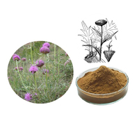 Bột Chiết Xuất Từ Rễ Maral Rhaponticum Carthamoides