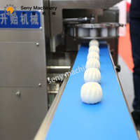 Seny entièrement automatique congelé momo baozi faisant la machine 20-100 pcs/min de Chine