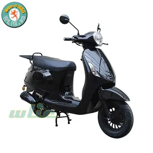 $100 가스 스쿠터 Euro4 유로 4 EEC COC 스쿠터 Maple-2 (50cc, 125cc)