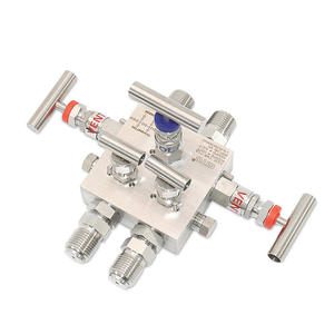 Collecteur 5 vannes intégré en acier inoxydable SS316 durable – Catégorie de produit premium pour instruments - Product Image 1