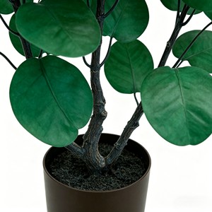 Plante d'arbre à monnaie préservée luxurante avec tronc tressé et feuilles en forme de parapluie pour la prospérité, à poser sur bureau et étagère - Product Image 4