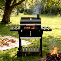 Barbecue au charbon de bois mobile en acier inoxydable Huize avec chariot et tables latérales pliables, pour usage domestique et extérieur, pour 5 personnes, pour pique-nique et camping