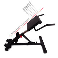 Chaise romaine professionnelle, banc d'hyperextension réglable et pliable, machine d'extension dorsale pour la maison et la salle de sport