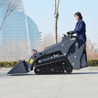 Mini-chargeuse sur chenilles certifiée EPA avec moteur Kubota, puissance de 17,2 kW et garantie d'un an pour la construction agricole