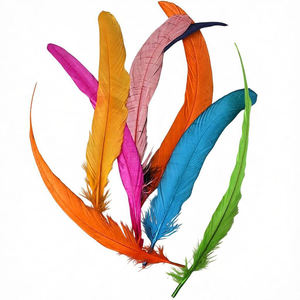 <span class=keywords><strong>Plumes</strong></span> <span class=keywords><strong>de</strong></span> queue <span class=keywords><strong>de</strong></span> coq colorées pour la décoration <span class=keywords><strong>de</strong></span> la maison, artisanat DIY, fournitures pour fêtes <span class=keywords><strong>de</strong></span> mariage, vente en gros, <span class=keywords><strong>lot</strong></span> en vrac - Product Image 6
