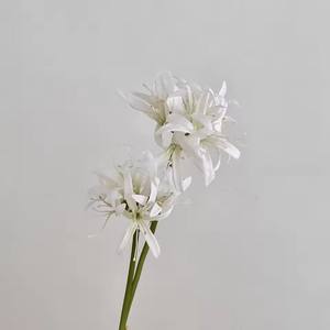 Flores Artificiales de Lirio Araña Rojo de 19.7 Pulgadas para Decoración de Bodas, Accesorio de Fotografía Hanfu - Product Image 6