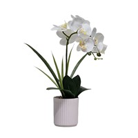 Dekorasi Bunga Anggrek Phalaenopsis Buatan Baru dari Flower World Cross-border untuk Rumah, Hotel, Lobi, dan Jendela, Bunga Buatan Tangan