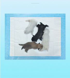 Tapis pour animaux de compagnie super absorbant, imperméable et anti-fuite, polychrome, personnalisable, pour chiens, chats, lapins, cochons d'Inde, bac à litière, sac à excréments - Product Image 2