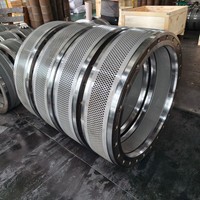 Matrice annulaire en acier inoxydable pour granulateur Andritz PM30, pièces de granulateur à granulés de bois, longue durée de vie