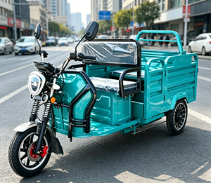 Tricycle de livraison électrique zéro émission, conforme aux normes EU L2e EEC COC, éligible aux aides à la livraison écologiques - Product Image 6