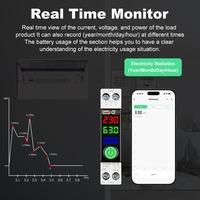 Disjoncteur intelligent WiFi Tuya MCB 63A avec mesure de puissance réglable, interrupteur 240V, montage sur rail DIN