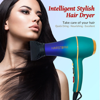 Prix d'usine Moteur à courant alternatif Hair Druer Pro et Volumizer Machine Sèche-cheveux personnalisé professionnel utilisé dans les salons