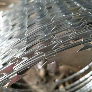 Alambre de púas de hierro para cercas, galvanizado electrolíticamente para máxima <span class=keywords><strong>defensa</strong></span> perimetral y protección del sitio - Product Image 2