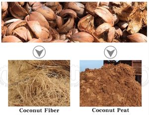 Machine d'extraction de fibres de coco entièrement automatique, pompe à moteur, équipement industriel de traitement de la coque de coco, capacité de 120 à 500 kg/h - Product Image 2