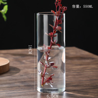 Vase en verre borosilicate pour plantes hydroponiques, petit pot de fleurs d'intérieur, tube droit, arrangement floral artistique