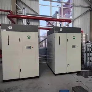 Approvisionnement direct d'usine 2 T/H 2000 kg/h Honeywell Burn System Chaudière à vapeur à gaz rentable