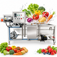 Luchtbelreinigingsmachine voor de waslijn van appel, mango, sinaasappel, peer en perzik fruit.