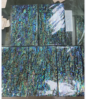 Usine fournit directement une feuille de coquille d'abalone paua naturelle 3A pour les meubles, artisanat d'art, décoration de la maison