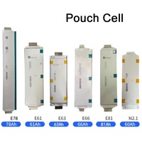 Brandneue E61 E63 E66 61Ah 63Ah 66Ah 3,7V Lithium-Ionen-Pouch-Zellen, wiederaufladbare Lithium-Polymer-Batterie für Akkupacks