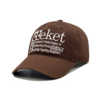 Gorra de Béisbol Personalizada al por Mayor, 100% Algodón, Estilo Vintage, Desgastada, Retro Y2K, Logotipo Bordado en 3D, Color Marrón, Ajustable, Unisex