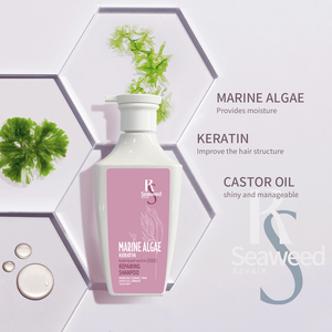 OEM ODM Private Label <span class=keywords><strong>Shampoo</strong></span> biologico tinto per capelli riparazione permanente <span class=keywords><strong>Shampoo</strong></span> alle alghe per la cura dei capelli lisci - Product Image 5