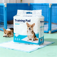 Tapis d'entraînement pour animaux de compagnie de haute qualité, imperméable, super absorbant, épais, sous-tapis d'entraînement, tapis pour chiots, tapis pour chiots