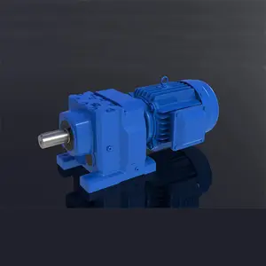 Độ Chính Xác Cao Gang Chân Bích Gắn R Series Xoắn Ốc Hộp Số Giảm Tốc Cho Ac In-Line Reverse Geared Motors