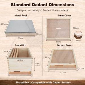 Promotion : Ruche Dadant en bois à prix réduit pour l'apiculture - Product Image 2