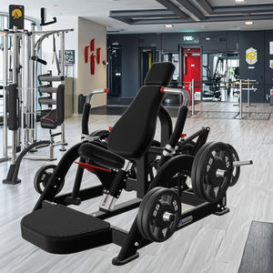 Gym Fitness Equipment Commercial Low Back Trainer avec plaque chargée Divisé Motion Trainer - Product Image 6