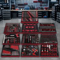 Ensemble d'outils de mécanicien professionnel de 491 pièces avec plateau en mousse EVA à 10 tiroirs et inserts, kit d'outils à douilles pour atelier de réparation automobile