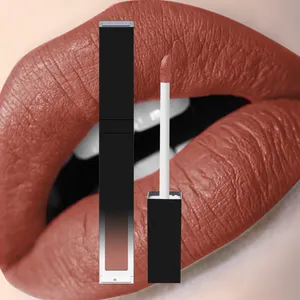 Matte Lipstick Private Label Matte Customize Lipstick Lipgloss Waterproof Metllic Makeup Lip Gloss Private Label Matte