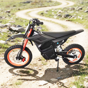 Moto tout-terrain <span class=keywords><strong>électrique</strong></span> à moteur central 60V 2500W, vitesse de 75 km/h, <span class=keywords><strong>motocross</strong></span> <span class=keywords><strong>électrique</strong></span>, moto pour adultes - Product Image 6