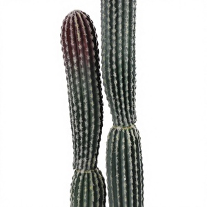 <span class=keywords><strong>Cactus</strong></span> réaliste de <span class=keywords><strong>colonne</strong></span> de <span class=keywords><strong>cactus</strong></span> artificiel superbe grand pour la décoration de bureau de salon à la maison - Product Image 2