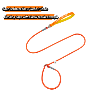 ठोस रंग, एक टुकड़ा कॉलर और लीश 2-इन-1, शो ग्रेड पैचेन (प्रशिक्षण) व्यापक हैंडल, लुभावनी और गैर-स्ट्रैकोण, अक्षर कढ़ाई उच्चारण - Product Image 3