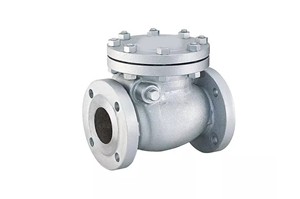 Válvula de Retención de 2 Pulgadas de Acero al Carbono Tipo C con Extremo Bridado y Cubierta Atornillada, Sellado de PTFE, Personalizable para la Industria del Petróleo y Gas - Product Image 5