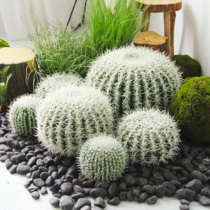 Decoraciones de Cactus Artificiales de 10cm-30cm, Plástico Realista para Interiores y Exteriores, Decoración para Bodas y Hogar - Product Image 1