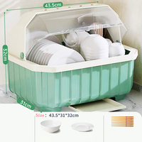 Égouttoir à vaisselle de table en plastique avec couvercle, support de rangement pour assiettes et bols, porte-couverts pour comptoir de cuisine