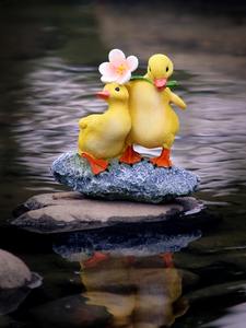 Ornements créatifs en résine de canard mignon Micro-paysage Animal pour la décoration d'aménagement paysager de <span class=keywords><strong>piscine</strong></span> de jardin de <span class=keywords><strong>bassin</strong></span> hydroponique charnu - Product Image 3