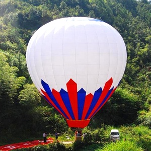 <span class=keywords><strong>Globo</strong></span> Aerostático Inflable Grande Personalizado con Logotipo, para Entretenimiento, Deportes y Juegos, en Venta - Product Image 1