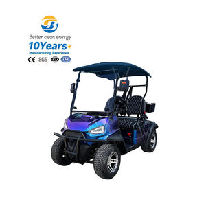 Carrito de Golf Eléctrico Clásico Personalizado, Buggy para Caza, para Carreteras No Públicas - Product Image 1